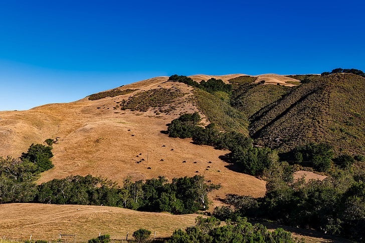 California, peisaj, pitoresc, Munţii, dealuri, rurale, HDR