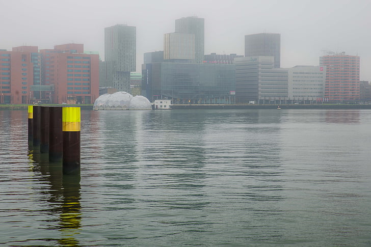 Rotterdam, rijnhaven, vode, privez, stavb, pogled, megleno