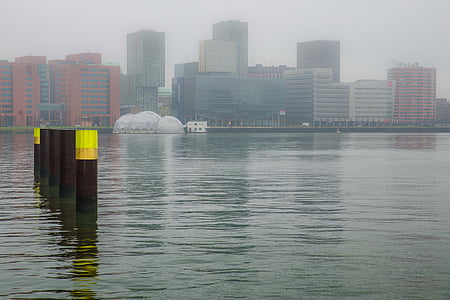 Rotterdam, rijnhaven, voda, vyvazovací, budovy, pohled, mlha