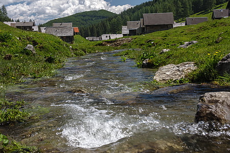 rierol de la muntanya, Alm, Caríntia, Àustria, natura, alpí, Prat alpí