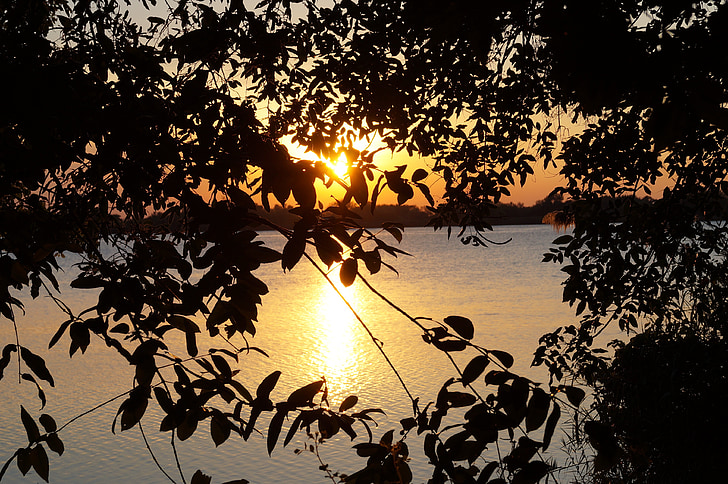 Twilight, humör, skymning, solnedgång, Botswana, Guma lagoon