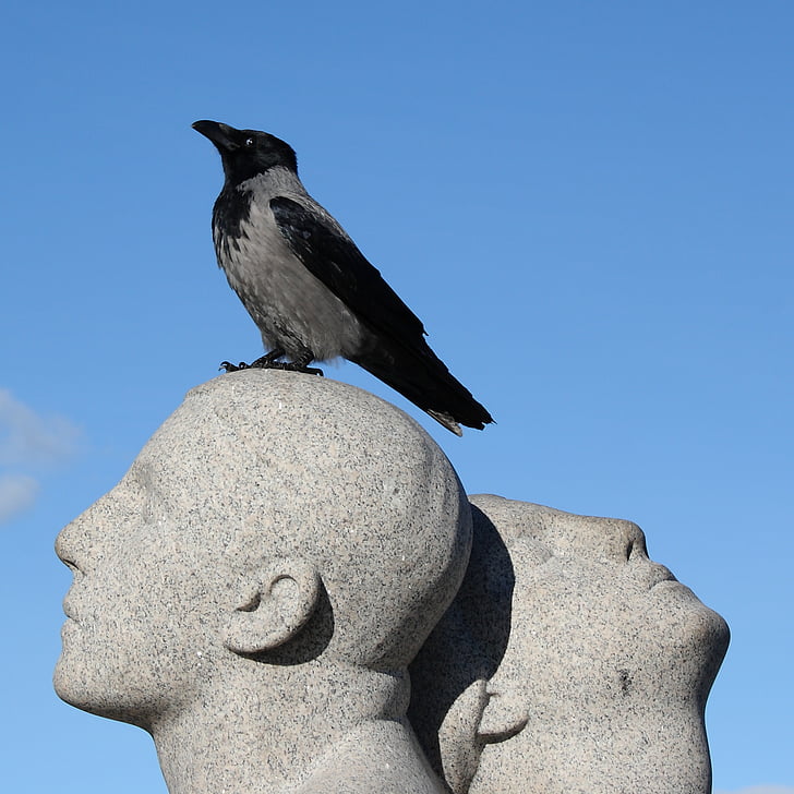 Norvégia, Oslo, Vigeland park, szobrászat, Park, varjú, madár
