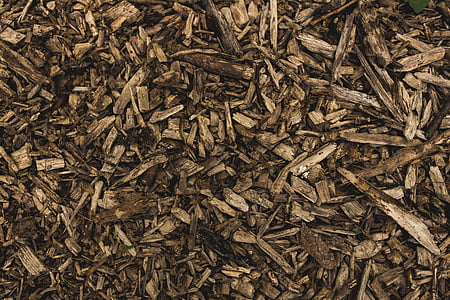 batch, chopped, close-up, dry, firewoods, logs, pile