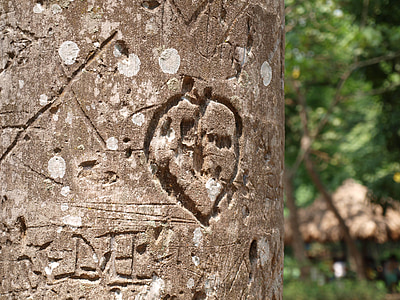 strom, Carving, láska, srdce, symbol, drevo, textúra