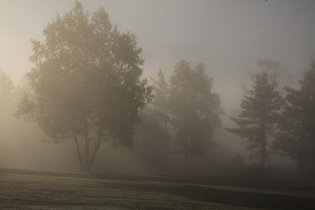 мъгла, природата, сутрин, слънце, изгрев, настроение, пейзаж