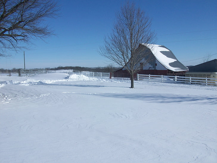 Zimní, stodola, farma, sníh, venkova, venkov