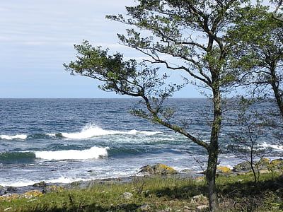 paplūdimys, jūra, Baltijos jūros, pakrantė, akmenukas, atostogų, banga