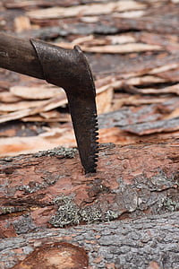 zappino, lumber, trunk, lumberjack, wood - Material, old, axe