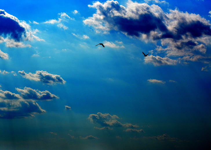 cel, núvol, crepuscle, ocells, blau
