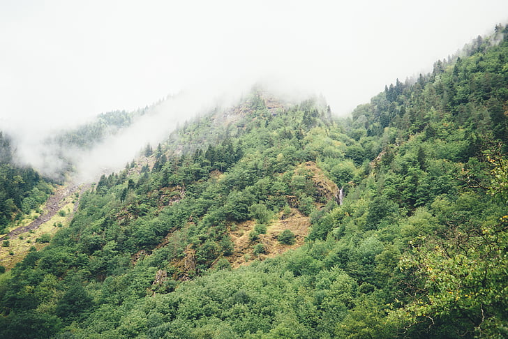 landscape, photography, trees, mountain, foggy, sky, forest