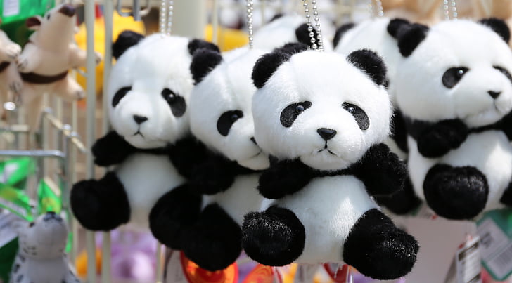 Panda, sieraden, schattig, nationale schat, dier, zwart-wit