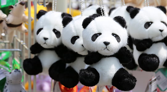 panda, jewelry, cute, national treasure, animal, black and white