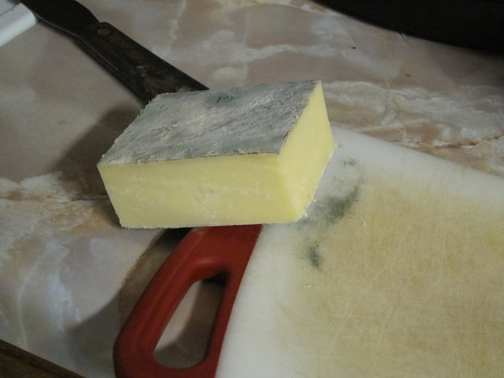 mold, on, cheese