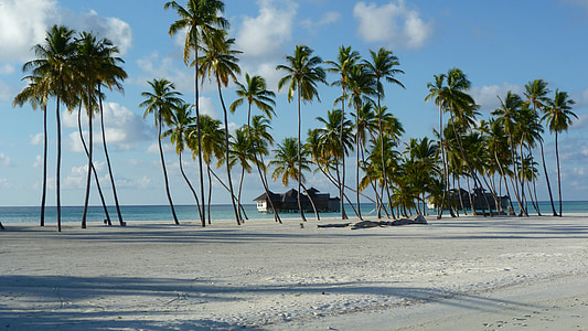 Lankanfushi, maldivermna, Island paradise, Beach, Holiday, Luksuslik reisikott, Pruutpaari