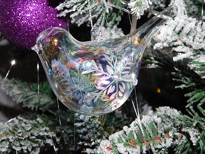 christmas, glass, bird, ornament, seasonal, branch, festive
