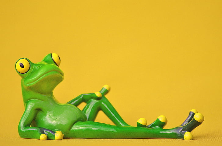 žaba, leži, sproščeno, srčkano, ostalo, Slika, zabavno