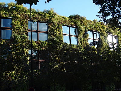 Париж, растительные стены, растения, здание