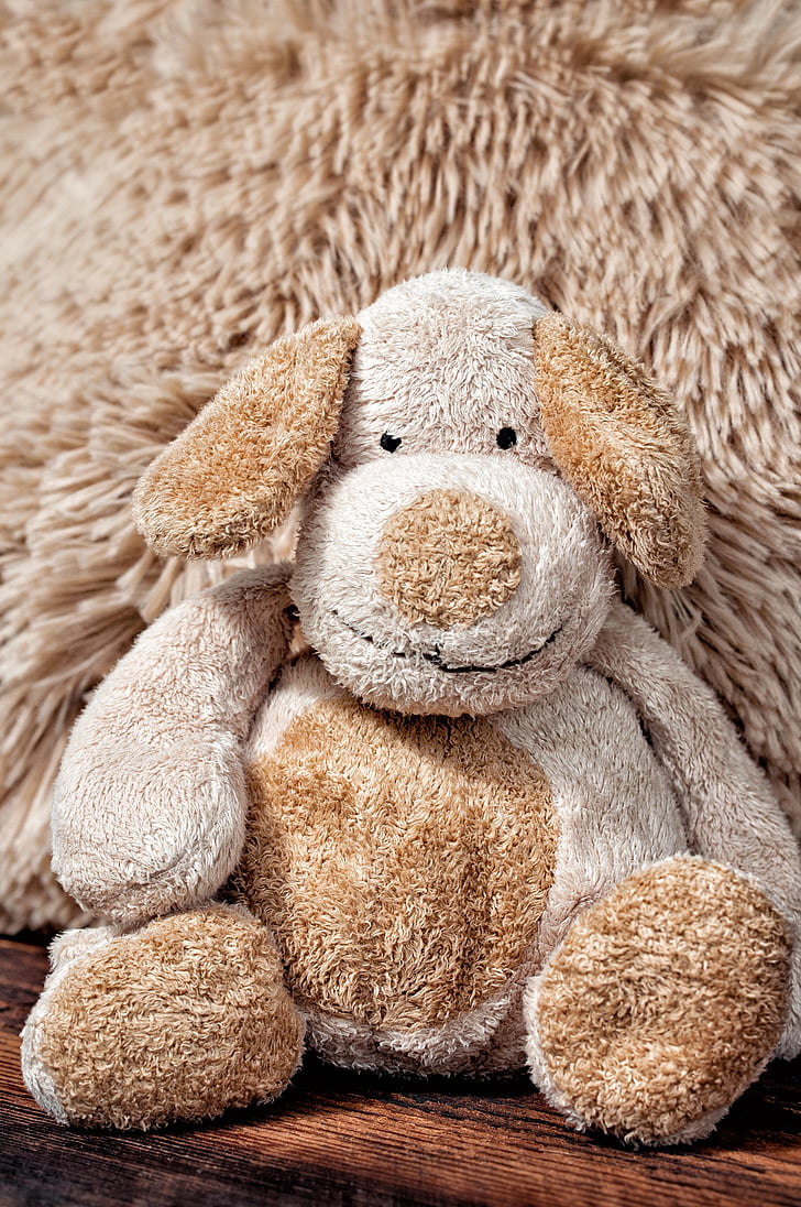 fabric dog, stuffed animal, cute, brown, toys, close, beige
