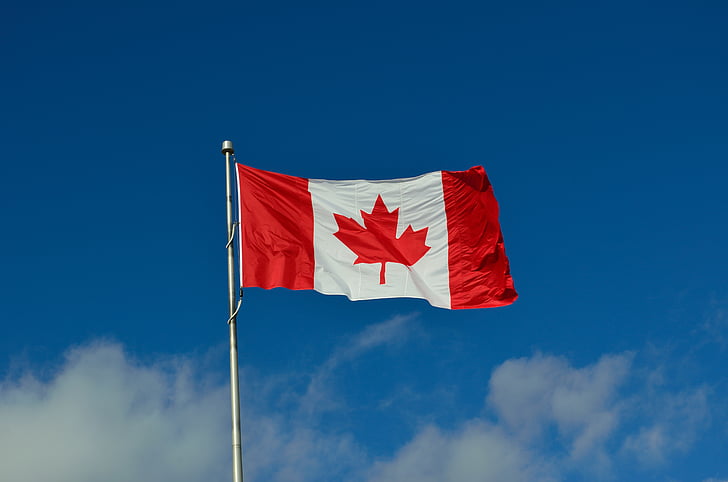 canadiske flag, Canada, ahorn, land, indvandring, flygtninge