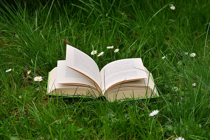 knyga, pieva, skaityti atsipalaiduoti, ramunės, žolės, žalia, knygos puslapiai