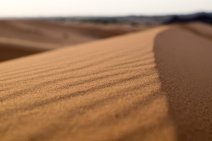 desert de, Dune, enfocament, paisatge, sorra