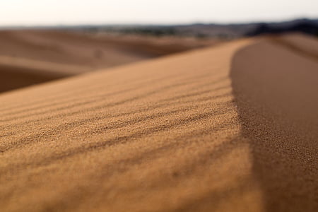 désert, dune, mise au point, paysage, sable