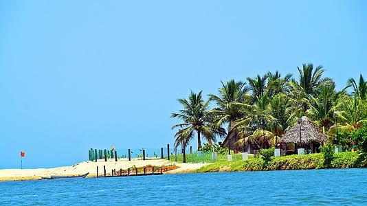 praia, árvore de coco, paraíso, palmeira, clima tropical, mar, céu claro