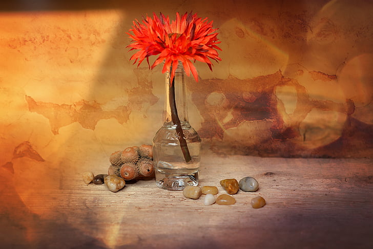 flor, flor de plástico, dekoblume, laranja, pedras, pedras decorativas, vaso