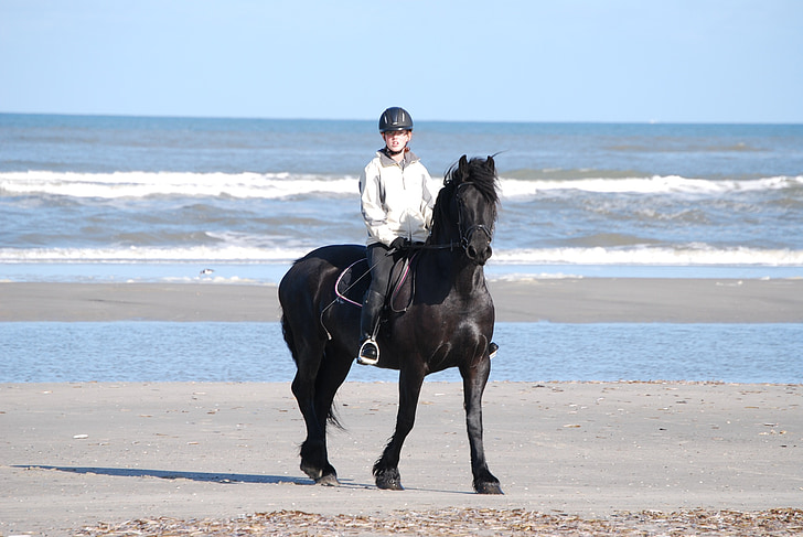 horse, reiter, beach, sea north sea, rap