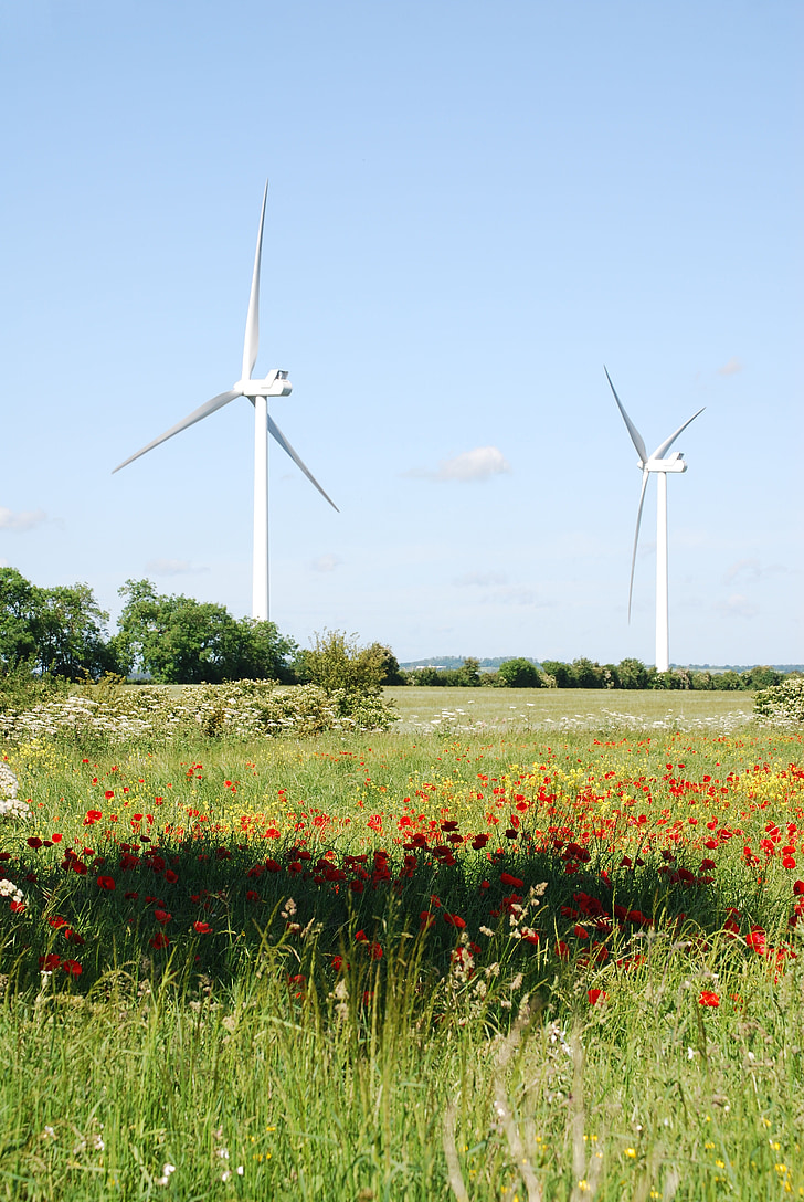 Wind, turbines, landbouwgrond, milieuvriendelijke, weide, landschap