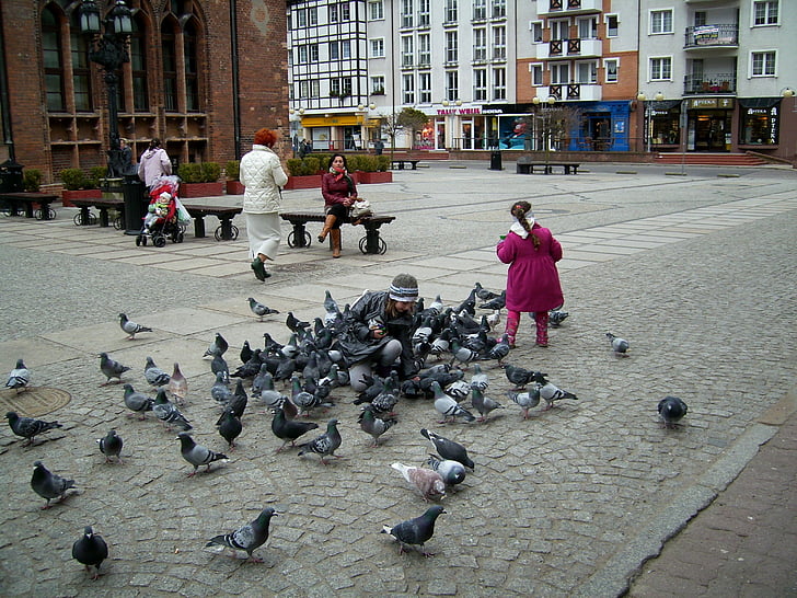 Kołobrzeg, el mercado de, el casco antiguo, palomas, niña, de la alimentación