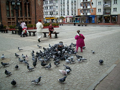 Kołobrzeg, Pazar, eski şehir, Güvercinler, küçük kız, besleme