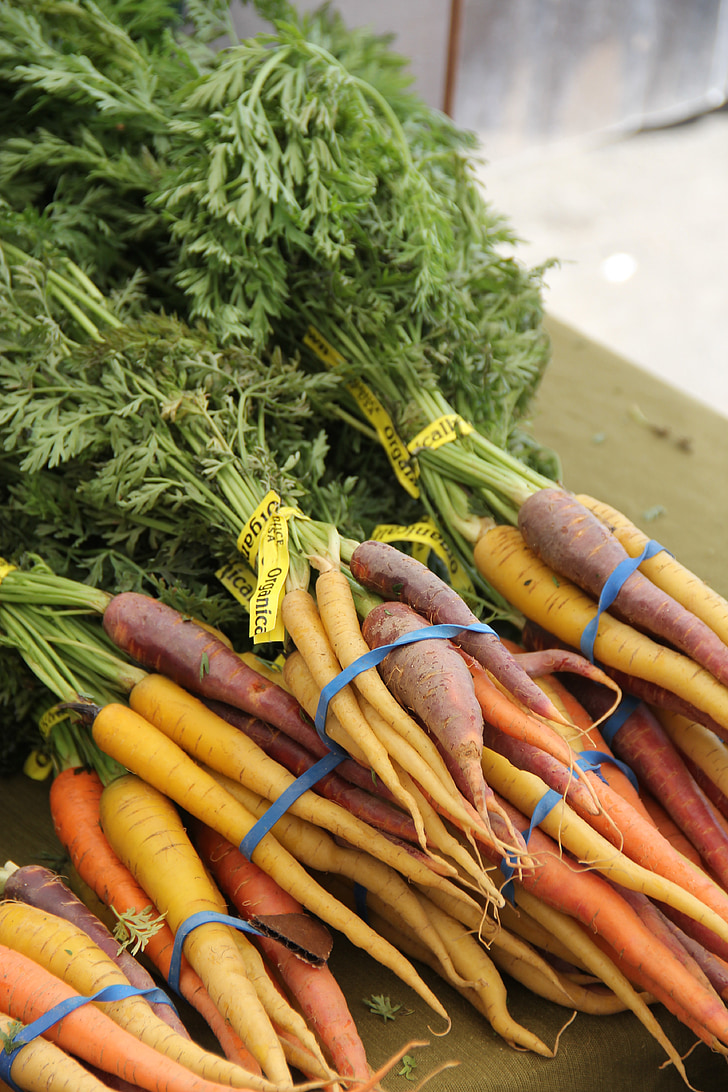 cenouras, veggies, produtos hortícolas, raiz, comida, maduras, saudável