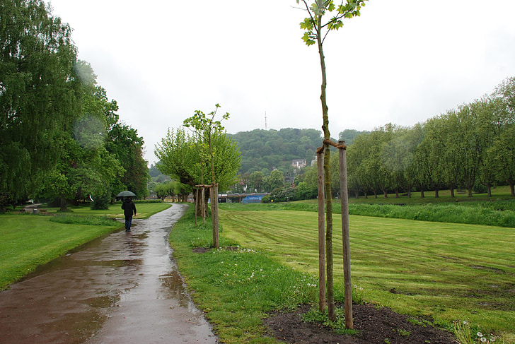 pluja, paraigua, l'aigua, mullat, en la staden, arbres, Saarbrucken
