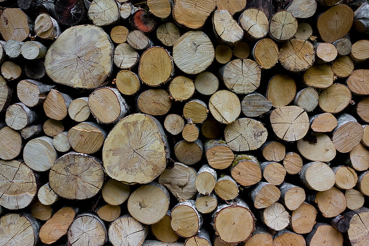 bois, holzstapel, travailleurs forestiers, bois de chauffage, bois, matériel sur pied, industrie du bois