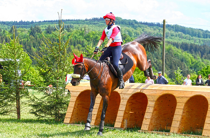 versatility, ride, versatility examination, eventing, military-horse riding, horse, obstacle