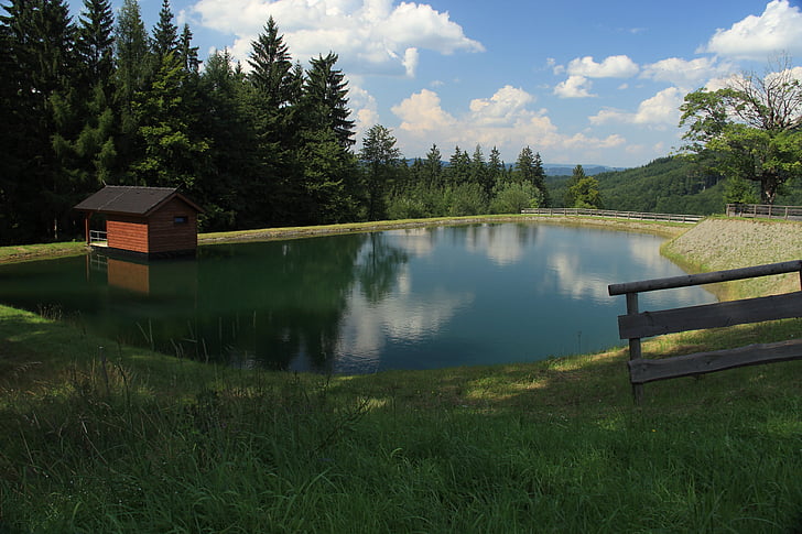 water-level, nature, water, kohútka, reflection, recreation, forest