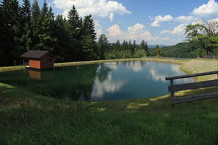 niveau d’eau, nature, eau, kohútka, réflexion, Recreation, Forest