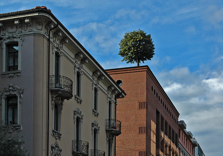 Lugano, fa, város, Lakások, felhők, tető, épület