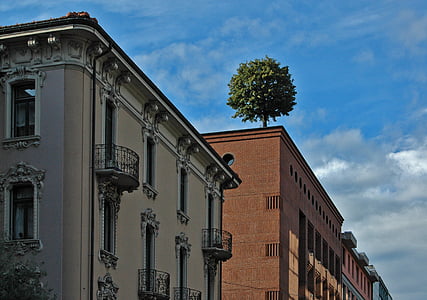 Lugano, arbre, ville, maisons, nuages, toit, bâtiment