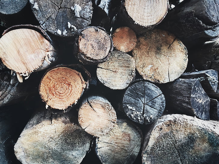 tree, logs, wood, logging, lumber, stack, log