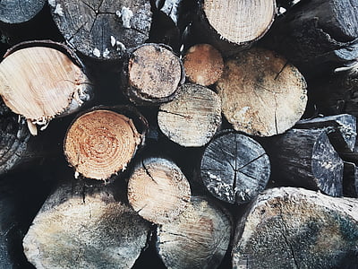 árvore, logs, madeira, registro em log, madeira serrada, pilha, log de