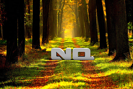 Příroda, podzim, Les, článek, NQ