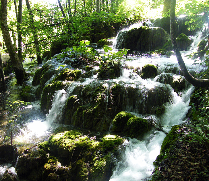 waterfall, croatia, plittvice, lakes, magic, nature, forest