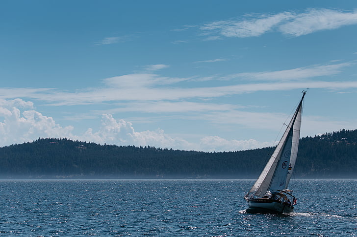 photo, white, sailboat, lake, water, trees, blue