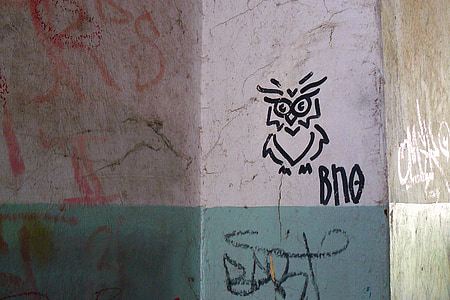 นกฮูก, นก, นก, สัตว์, graffity, ศิลปะ, เยอรมนี