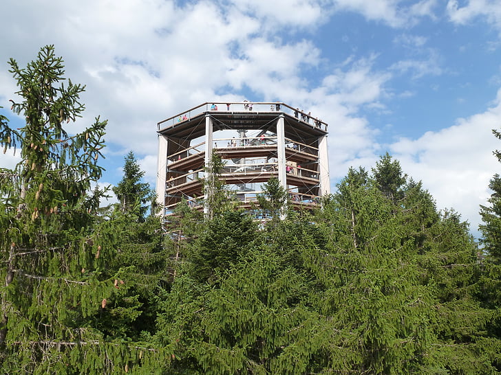 lipno, lookout, in the trees
