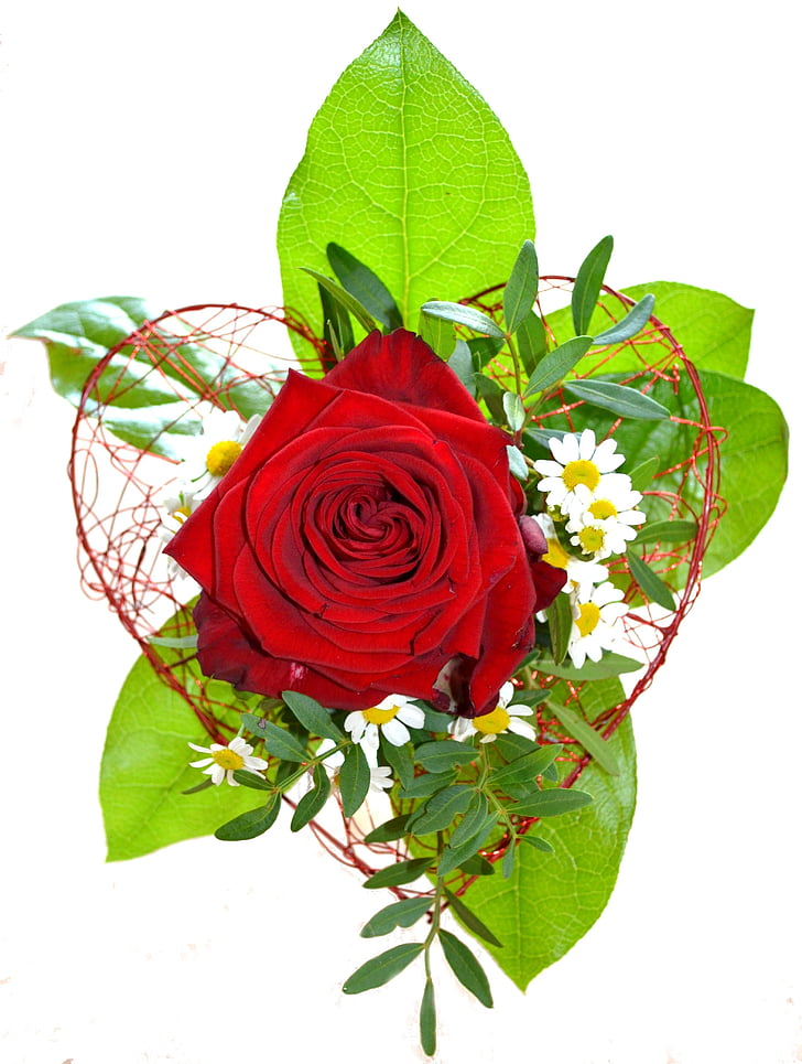 fleurs, Rose, rouge, arrangement floral, bouquet