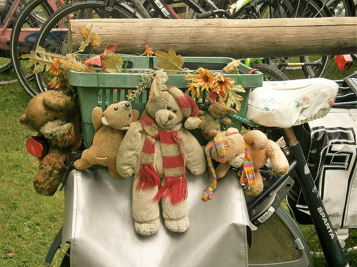 หมี, จักรยาน, กระเป๋าจักรยาน, ตะกร้า, ตกแต่ง