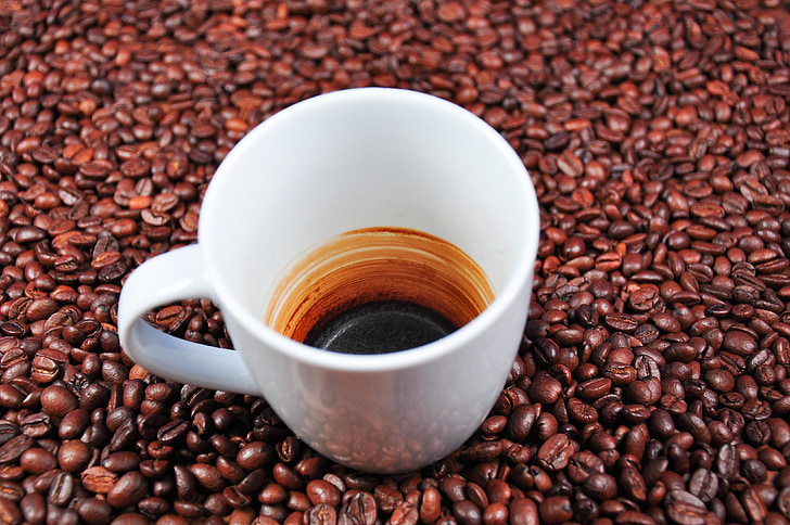 caffè, tazza vuota, tazze da caffè, bel modello, campione di caffè, Coppa, evaporazione